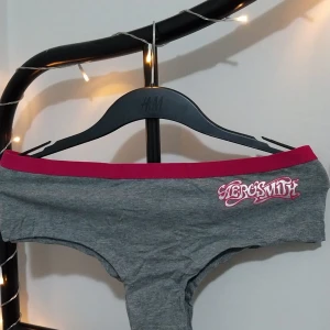 Grå hipstertrosa med Aerosmith-tryck - Säljer en grå hipstertrosa från H&M med coolt Aerosmith-tryck i rosa. Trosan har en bred rosa resår i midjan som ger en snygg kontrast. Perfekt för dig som gillar rockiga detaljer! 🎸