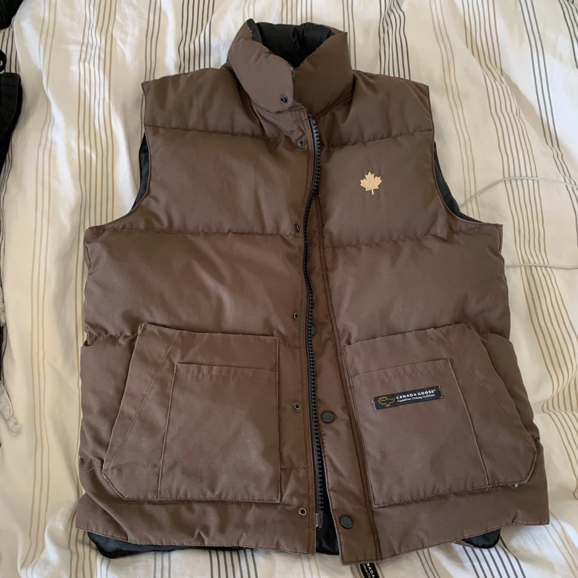 Canada Goose