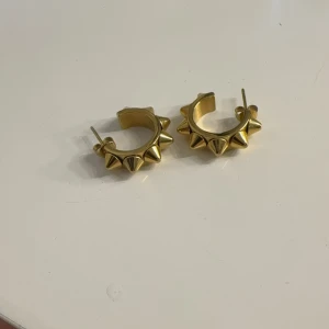 Örhängen - Säljer dessa guldiga örhängen från Edblad då de aldrig kommer till användning, använd fåtal gånger