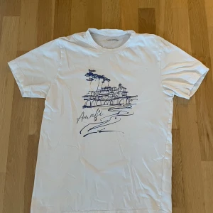 LaidB clothing t shirt - Fet t shirt i bra skick, märke LaidB clothing. Hör av er vid fler frågor!