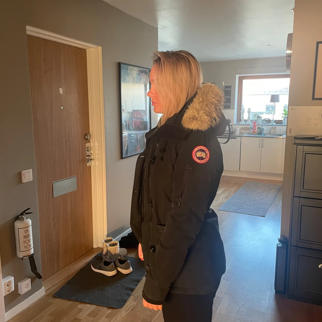 Svart canada goose - 91