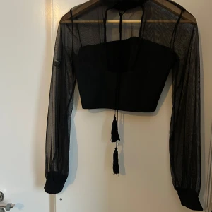 Svart mesh topp med  långa ärmar - Snygg svart mesh topp med långa ärmar och knytband med tofsar. Perfekt för en kväll ute eller en speciell tillställning. Toppen har en croppad design och en elegant look.