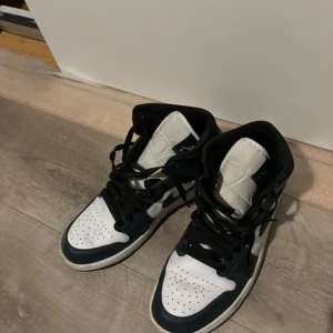 Jordans air  - Bra skick. Strl 42.5 