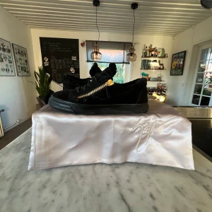 Giuseppe Zanotti skor  - Säljer mina Giuseppe Zanotti skor. Storlek 41. Skick 7/10. Perfekt höst och vinter sko då de är varma. Priset är inte hugget i sten vid snabb affär. 
