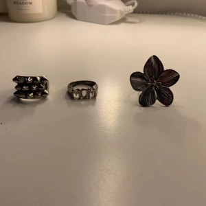 Ringar - 1 Edblad ring 250kr Blom ring 25kr mom ring 20kr