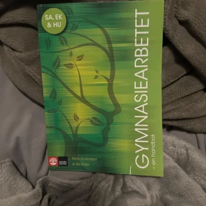 Gymnasiearbetet - en handbok - En handbok för gymnasiearbetet riktad till elever på samhällsvetenskapsprogrammet, ekonomiprogrammet och humanistiska programmet. Boken guidar elever genom gymnasiearbetets olika steg och ger tips för att lyckas med arbetet.