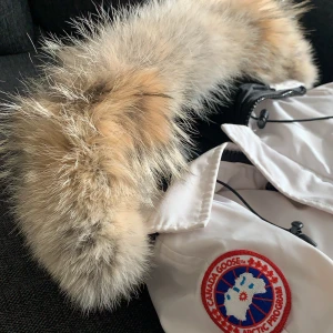 Canada goose chiliwack - Canada goose chilliwack (korta modellen) Fin vit färg, kemtvättad förra vintern, knappt använd sedan dess. Förvarad i klädpåse. Köpt för flera år sedan på NK Stockholm för ca 7999kr. Fin i muddarna vilket är ovanligt!  Skickas eller möts upp i STHLM.