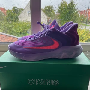 Giannis immortality 4  - Säljer dessa supersnygga basketskor! Giannis immortality 4 i färgen black rasberry.  Helt nya och oanvända, slutsåld på Nike. 