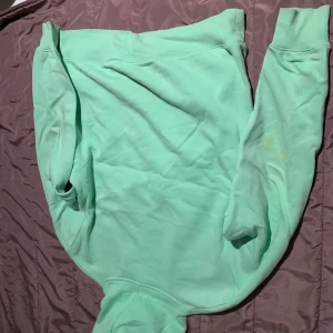 Mintgrön hoodie från H&M - Säljer en mintgrön hoodie från H&M i storlek L. Den har en stor ficka fram och trycket 'WILD' på baksidan. Tyvärr finns det några fläckar på ena ärmen, men annars är den i bra skick. Perfekt för en chill dag eller som mysplagg. 💚