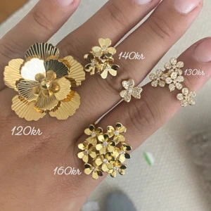 Ringar  - Frakt 18kr 