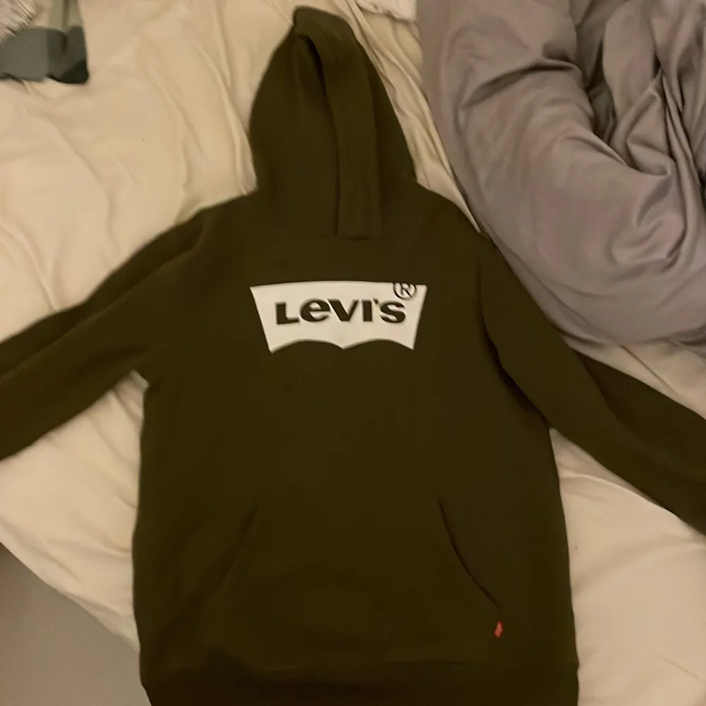 Grön levis hoodie för billigt pris nästan helt oanvänd . Hoodies.