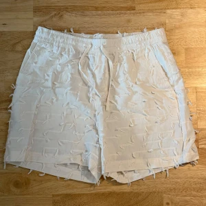 Zara shorts tofsar NY - Zara shorts tofsar NY - L 