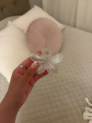 Genomskinlig blomformad hårklämma - Säljer en superfin hårklämma i form av en blomma. Klämman är genomskinlig och har en snygg glansig finish. Perfekt för att sätta upp håret på ett trendigt sätt. Materialet är plast och designen är stilren men ändå lekfull.