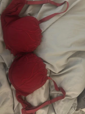 Röd vadderad bh med broderi - Snygg röd bh med vadderade kupor och dekorativt broderat mönster. Justerbara axelband och hakknäppning bak. Materialet känns mjukt och bekvämt mot huden, perfekt för dig som vill ha något extra fint under kläderna.
