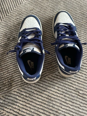 Nike Dunk Low blå och vita sneakers - Snygga Nike Dunk Low sneakers i blått och vitt med klassisk låg siluett. Skorna har vita perforerade tåboxar, blå detaljer och matchande blå snören. Yttersulan är i gummi och ovandelen i läder för en clean och sportig look.