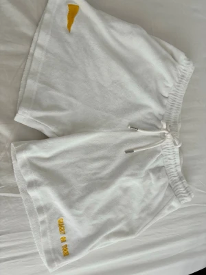 AIK, Gnaget on tour shorts - Ett par AIK shorts från AIK shopen, i storleken S. Används fåtal gånger, matcher med AIK piken, skönt material men kan sitta lite tight.