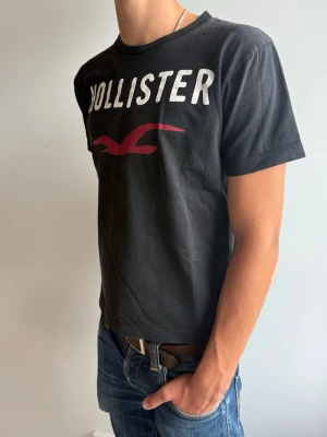 Svart Hollister t-shirt | M - Svart t-shirt från Hollister med stort vitt logotryck och röd fågel på bröstet samt liten röd fågel på ryggen | Skick: Mycket bra | Strl: M | Pris diskuterbart | Modellen är 175 väger 65 | Hör av dig vid funderingar⁉️ 