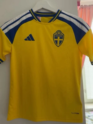 Sveriges VM landslagströja  - Säljer denna Sverige landslagströja så den bara använts en gång och inte kommer komma till mer användning 
