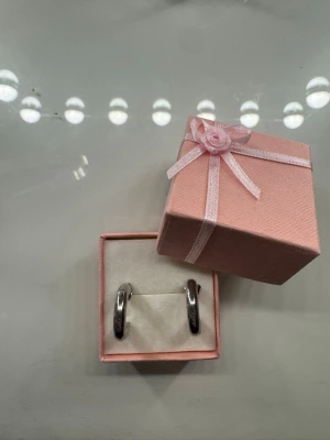 Silvriga chunky hoops örhängen - Säljer ett par stilrena silvriga chunky hoops örhängen i metall. De har en rundad, tjock design och kommer i en söt rosa presentask med rosett. Perfekta för dig som gillar minimalistiska men ändå iögonfallande accessoarer.