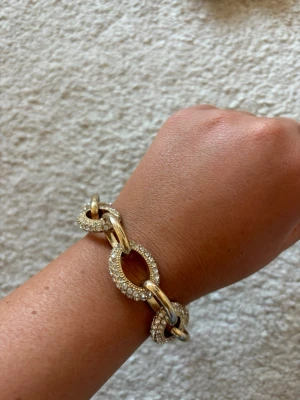 Guldigt länkarmband med strass - Snyggt armband i guldfärgad metall med stora ovala länkar. Vartannat led är täckt av glittrande strass för extra bling. Armbandet har ett klassiskt karbinlås och justerbar längd. Perfekt för dig som gillar statement-smycken och vill sticka ut.