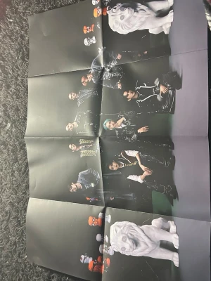 Straykidz poster - Straykidz poster - pris kan diskuteras 