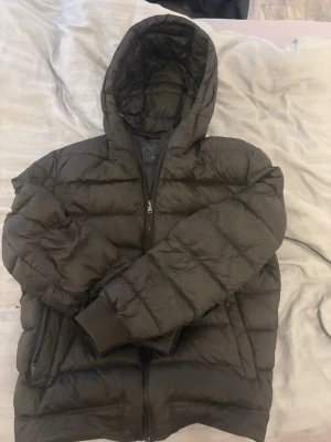 Massimo dutti jacka  - Grön Massimo dutti jacka i storlek L, sitter som en m och är ganska små i storleken. Jag är själv 182cm och jackan börjar bli lite kort 