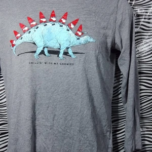 Grå tröja med dinosaurie och tomtar - Säljer en grå långärmad tröja med ett coolt tryck av en blå dinosaurie med tomtar på ryggen. Texten 'Chillin' with my gnomies' ger en skön vibe. Perfekt för avslappnade dagar eller som en rolig present!