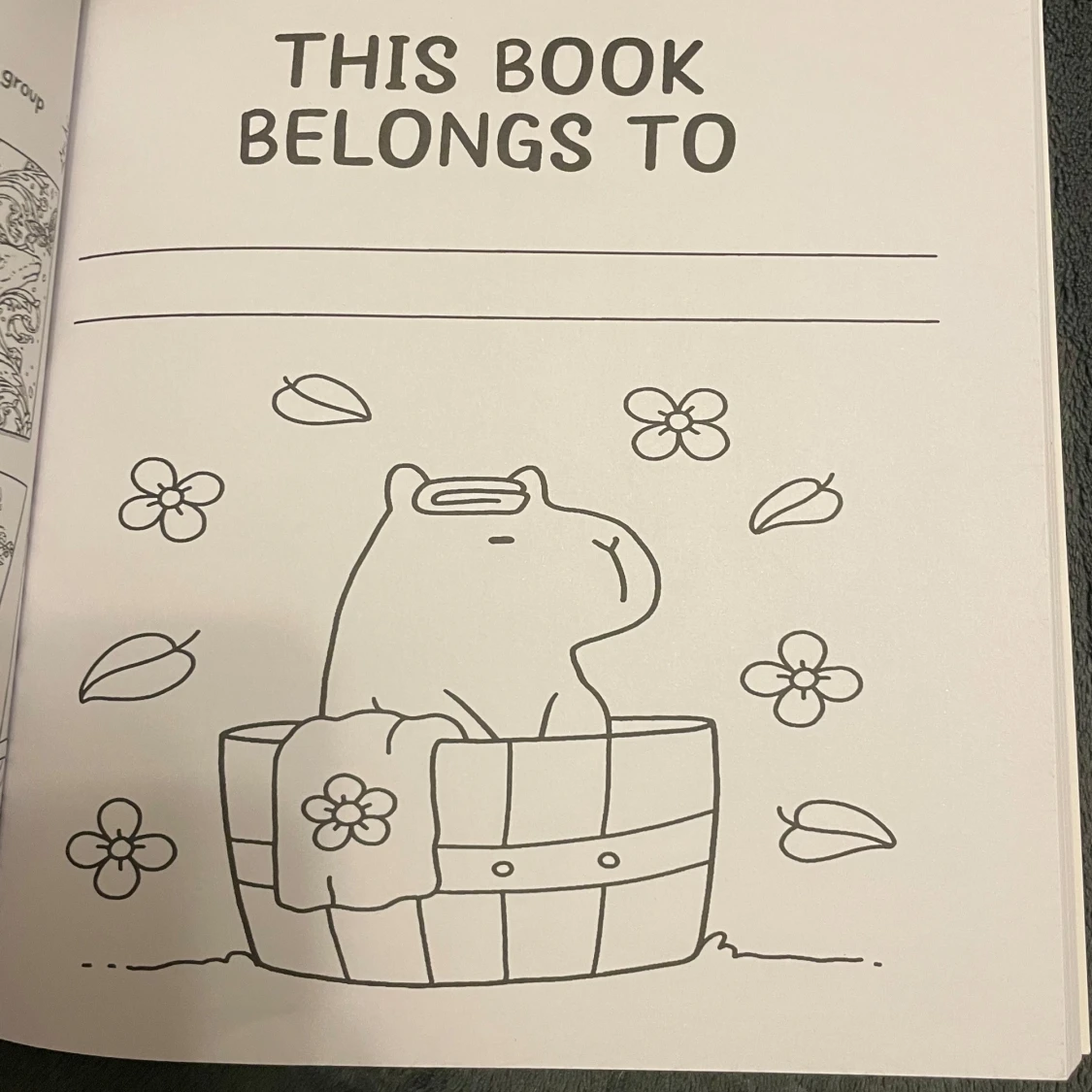 Cozy Spaces CocoWyo målarbok - 3