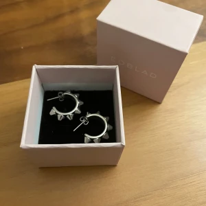 Edblad örhängen  - Jätte bra skick och säljer på grund av att jag inte använder silver längre (pris kan diskuteras) 💗