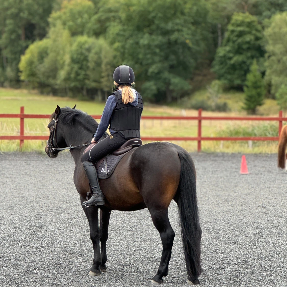  Söker Medryttarhäst - 91