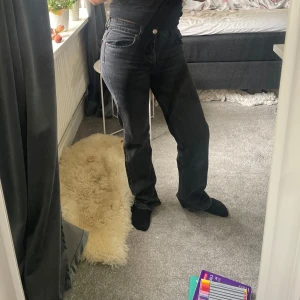 Zara jeans  - Svarta jeans ifrån zara, medelhög midja med knappar, storlek 38, finns slitningar på insidan av låret och längst ner på byxorna då de var för långa för mig, inget som syns när man använder dem