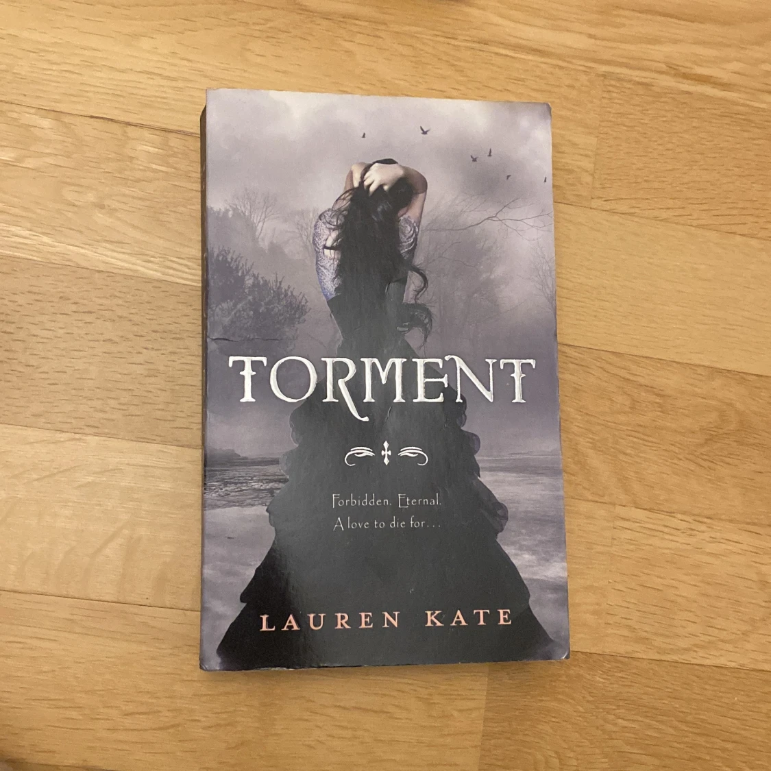 Bokserie 'Fallen' av Lauren Kate - 2