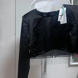 Blus fr gina  - Oanvänd och festlig blus Ord pris 399kr Mitt pris 99kr