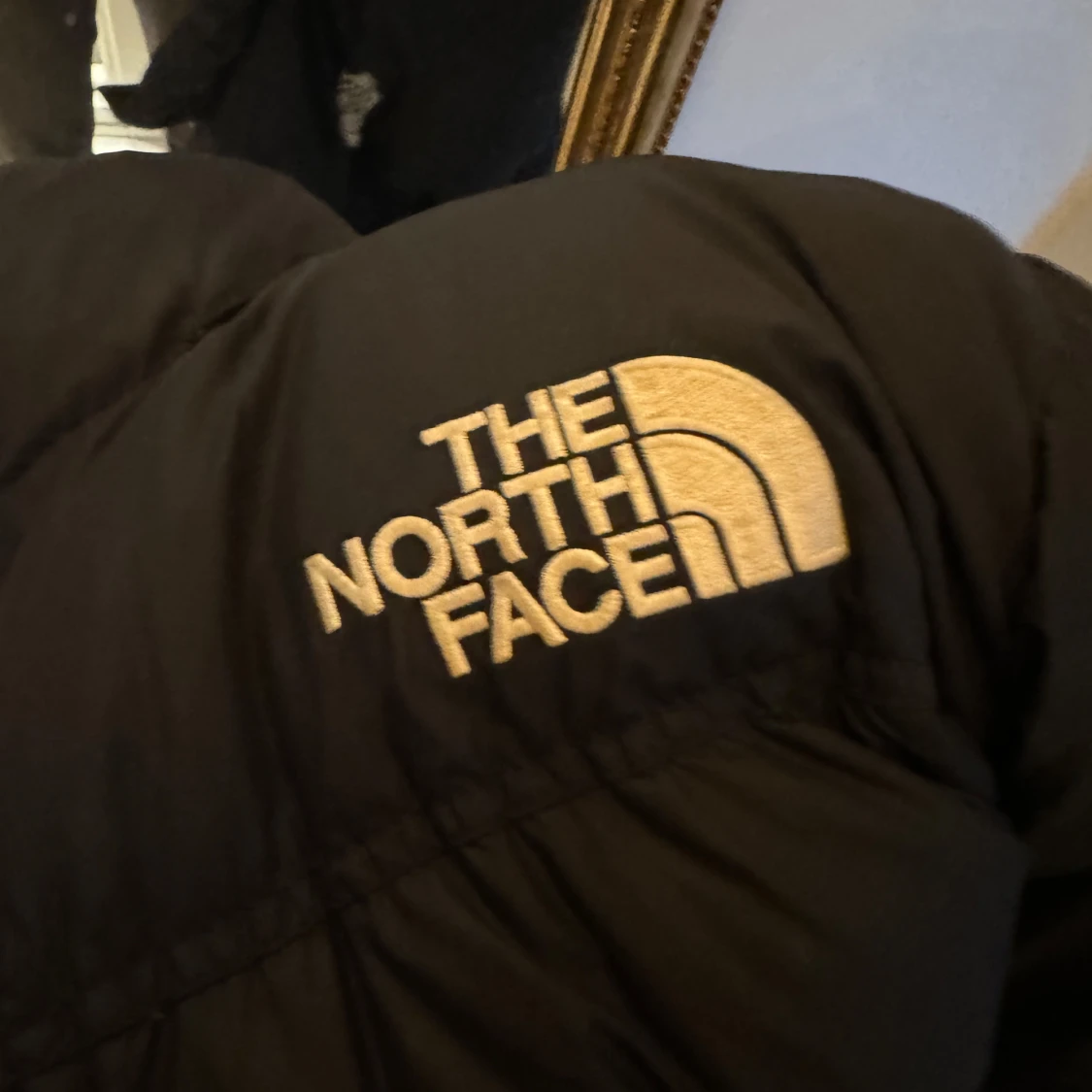 Svart dunjacka från The North Face - 93