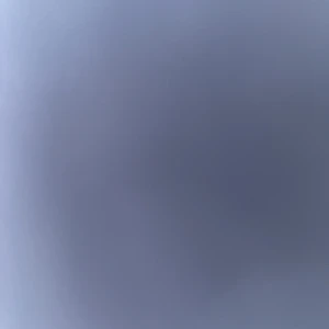 Alfab väst - Fin väst