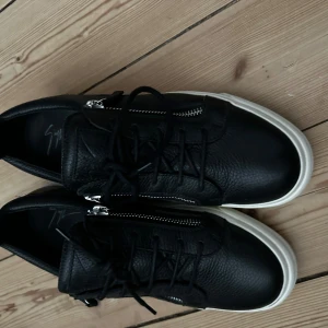 Zanotti - Zanotti str 43