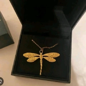 Guldhalsband med trollslända - Ett elegant guldhalsband med en detaljerad trollslända som hänge. Perfekt för att lägga till en touch av naturinspirerad stil till din outfit. Passar både till vardags och festliga tillfällen. Skriv innan köp💕 pris går att diskutera! Nypris:210kr