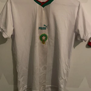 Vit fotbollströja från Puma - Säljer en vit fotbollströja från Puma med gröna och röda detaljer. Tröjan har korta ärmar och ett tryck med 'ZIYECH' och nummer 7 på ryggen. Perfekt för fotbollsfans! 🏆kan mötas Haninge handen Skärholmen 