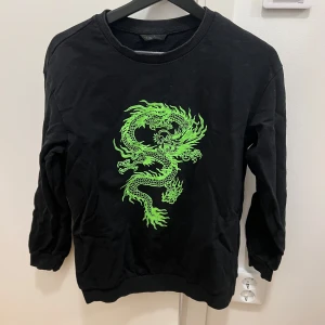 Svart tröja med grön drake från Shein - Säljer en svart tröja från Shein med en cool grön drake på framsidan. Tröjan har långa ärmar och en rund halsringning. Perfekt för en avslappnad stil med en touch av edge. 🐉