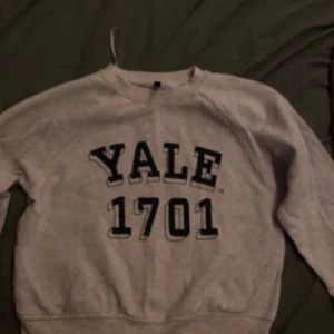 Grå sweatshirt från Yale University - Säljer en grå sweatshirt från Yale University med tryck 'Yale 1701' i svart. Tröjan har långa ärmar och en klassisk rund halsringning. Perfekt för en avslappnad stil. Köpt på h&m. Andvänt 1 gång 💕