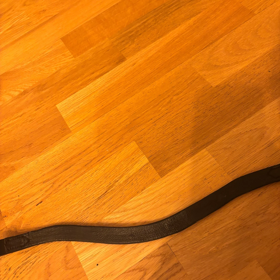 Pannband till häst - 92