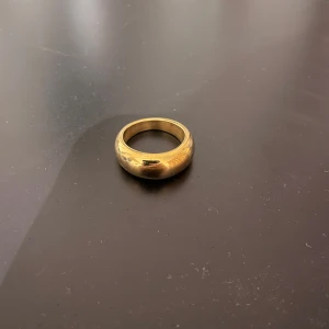 Ring från Edblad  - Ring från Edblad i rostfritt stål, 14k guldpläterad, i storlek L (18,5 mm), nickelsäker🩷