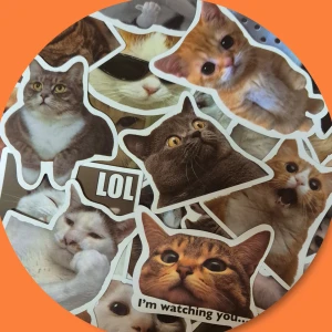 25 Söta Katt Stickers - 25 st Söta Katt stickers/klistermärken med mått: 5-8 cm. ✨️Titta igenom alla mina upplagda & köp fler saker i Bundle för att spara på frakten & få allt du köpt i ett & samma paket✨️ För att köpa med Bundle så får du först trycka i "Köp med bundle" sedan väljer du ut allt du vill köpa för att få allt på samma frakt = Billigare 👌 Om du däremot köper fler varor i olika köp blir det egen frakt för varje köp. Önskar du swisha mej, meddela mej vad du vill köpa så ordnar vi det 👌