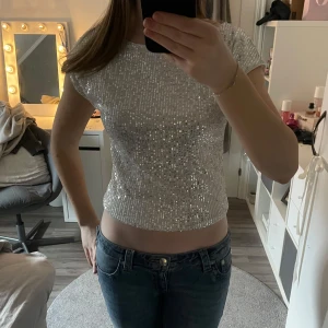 Silvrig glittrig topp - Säljer en snygg silvrig glittrig topp med korta ärmar. Öppen i ryggen. Säljer för den kommer inte till användning.
