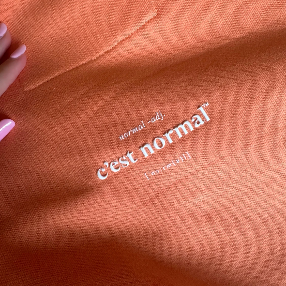 C’est Normal Hoodie - 93