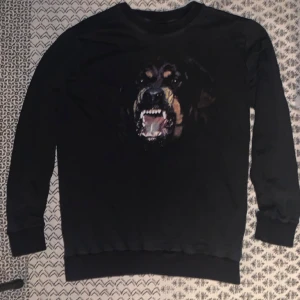 Givenchy rottweiler sweatshirt  - Storlek xs (oversized) mer som L  Använd flitigt 