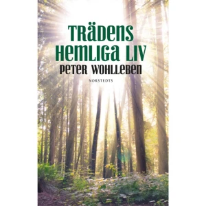 Trädens hemliga liv (inbunden) - I skogen finns ett liv som är helt okänt för oss. Där pågår fantastiska saker: träden kommunicerar med varandra. De tar hand om både varandras avkomma och om gamla och drabbade grannar, de har känslor och minnen. Otroligt? Kanske. Men sant.Skogsvaktare Peter Wohlleben berättar fascinerande om oväntade och extraordinära förmågor hos träden. Han citerar de senaste vetenskapliga rönen och kombinerar dem med sina personliga erfarenhet av naturen, vilket skapar nya spännande insikter. Vi kanske tror att vi vet det mesta om skogen och känner till allt om träden. Men den som läser Trädens hemliga liv kommer att gå ut i naturen med helt nya kunskaper och ögon. På ett lättillgängligt sätt visar Peter Wohlleben vägen.    Format Inbunden   Omfång 218 sidor   Språk Svenska   Förlag Norstedts   Utgivningsdatum 2016-09-12   Medverkande Jim Jakobsson   ISBN 9789113073590  