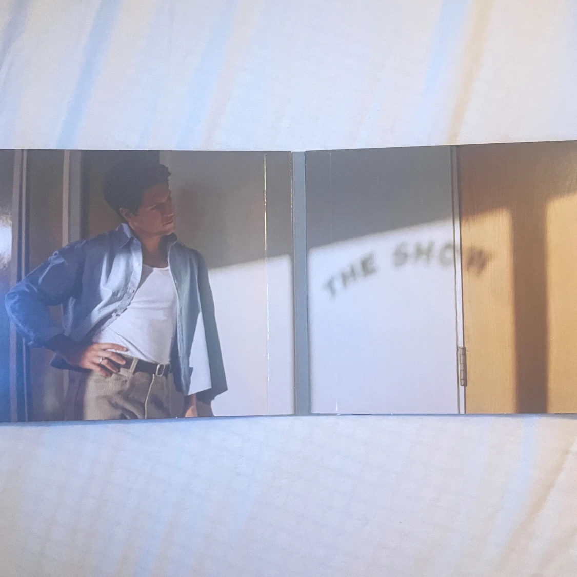 Niall Horan the show cd - 90