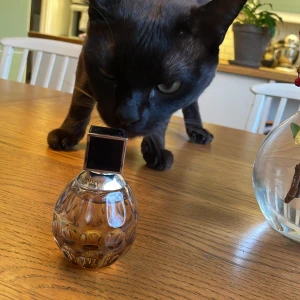 Jimmy Choo eau de parfum  - Säljer en elegant parfym från Jimmy Choo. Flaskan är rund och har ett vackert mönster med en svart fyrkantig kork. Perfekt för att ge en lyxig touch till din doftsamling. Passar både till vardags och fest! Som syns på bild är det väldigt mycket kvar i den! 