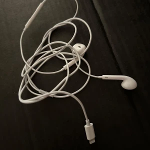 Sladdhörlurar - Sladdhörlurad